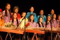 10.25.2014 Alice Guzheng Ensemble 12th Annual Performance at James Lee Community Theater, VA (65)